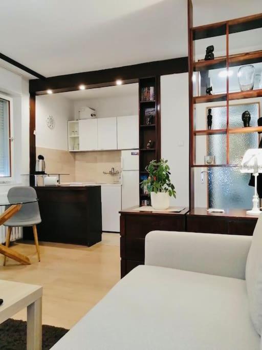 Appartamento Dorcol Hideaway Belgrado Esterno foto